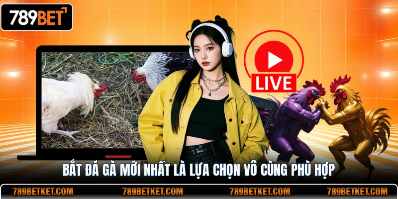 Bắt đá gà mới nhất là lựa chọn vô cùng phù hợp