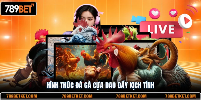 Hình thức đá gà cựa dao đầy kịch tính
